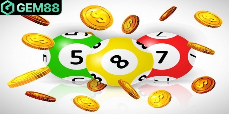 Các phương pháp nuôi lô khung 1 ngày phổ biến và hiệu quả nhất