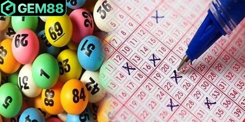 Kinh nghiệm từ chuyên gia giúp nuôi lô khung 1 ngày hiệu quả