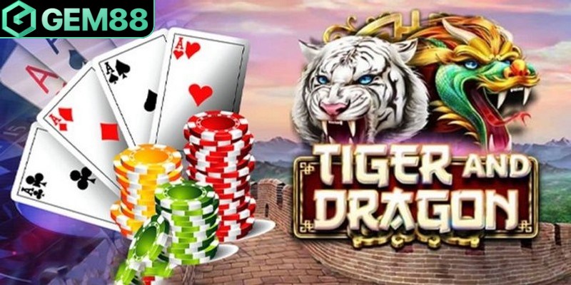 Chia sẻ từ chuyên gia về mẹo chơi Rồng Hổ